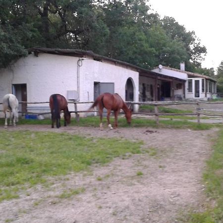 Villa Ferme Equestre Des Abrons Pailloles Exterior foto