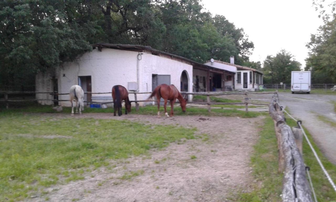 Villa Ferme Equestre Des Abrons Pailloles Exterior foto